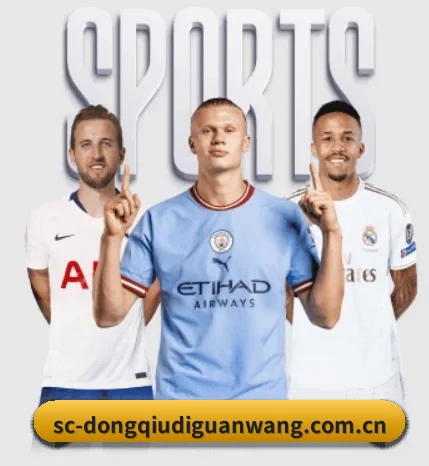 懂球帝的故事（dqd）