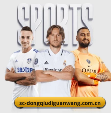 本站五个常用功能入口,赛程查询路径更短 - dqd
